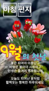 팜모닝 자유주제·자유게시판 게시글 이미지