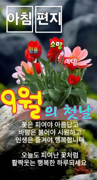 테리우스님의 자유주제 · 자유게시판 작성글 사진