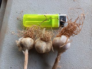 박린님의 작성글 사진