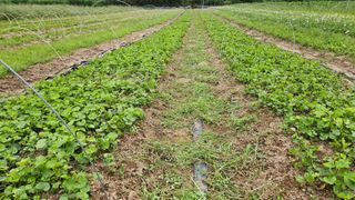 조병대님의 자유주제 · 자유게시판 작성글 사진
