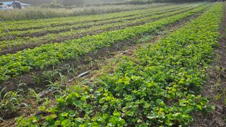 조병대님의 자유주제 · 자유게시판 작성글 사진