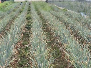 준영농장 출석왕.님의 자유주제 · 자유게시판 작성글 사진