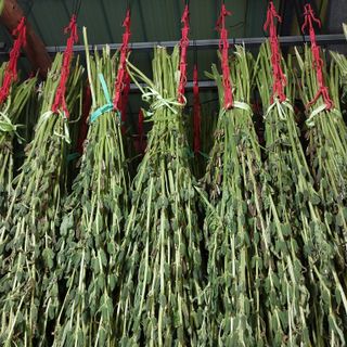 박수연님의 자유주제 · 자유게시판 작성글 사진