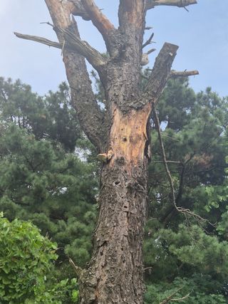 박학송님의 자유주제 · 사진전 작성글 사진