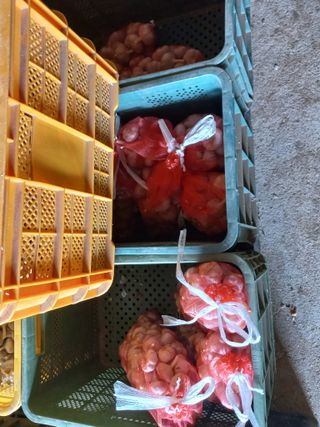 박린님의 작성글 사진