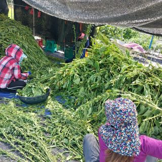 박수연님의 자유주제 · 자유게시판 작성글 사진