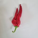 팜모닝 자유주제·자유게시판 게시글 이미지