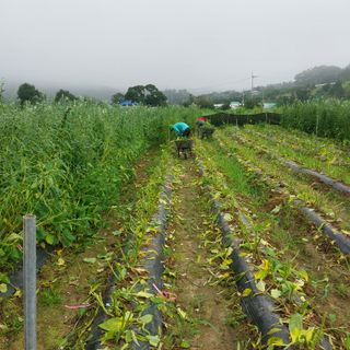 박수연님의 자유주제 · 자유게시판 작성글 사진