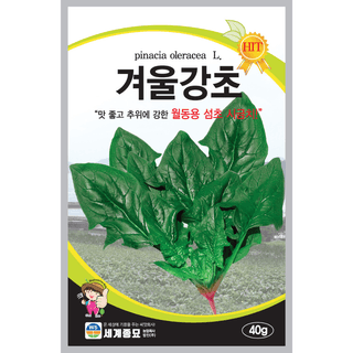 주주씨앗님의 작성글 사진
