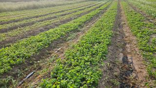 조병대님의 자유주제 · 자유게시판 작성글 사진