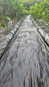 팜모닝 자유주제·자유게시판 게시글 이미지