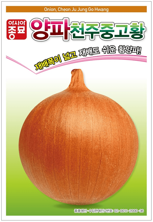 주주씨앗님의 장터 판매 상품 [양파 씨앗 2종 세트 / 천주중고황양파 씨앗, 천주적양파 씨앗] 첨부 사진