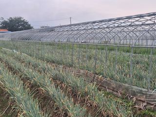 준영농장 출석왕.님의 자유주제 · 자유게시판 작성글 사진