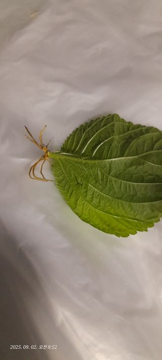 항상밝고희망차게님의 자유주제 · 자유게시판 작성글 사진