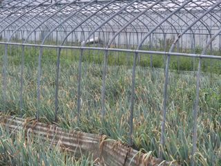 준영농장 출석왕.님의 자유주제 · 자유게시판 작성글 사진