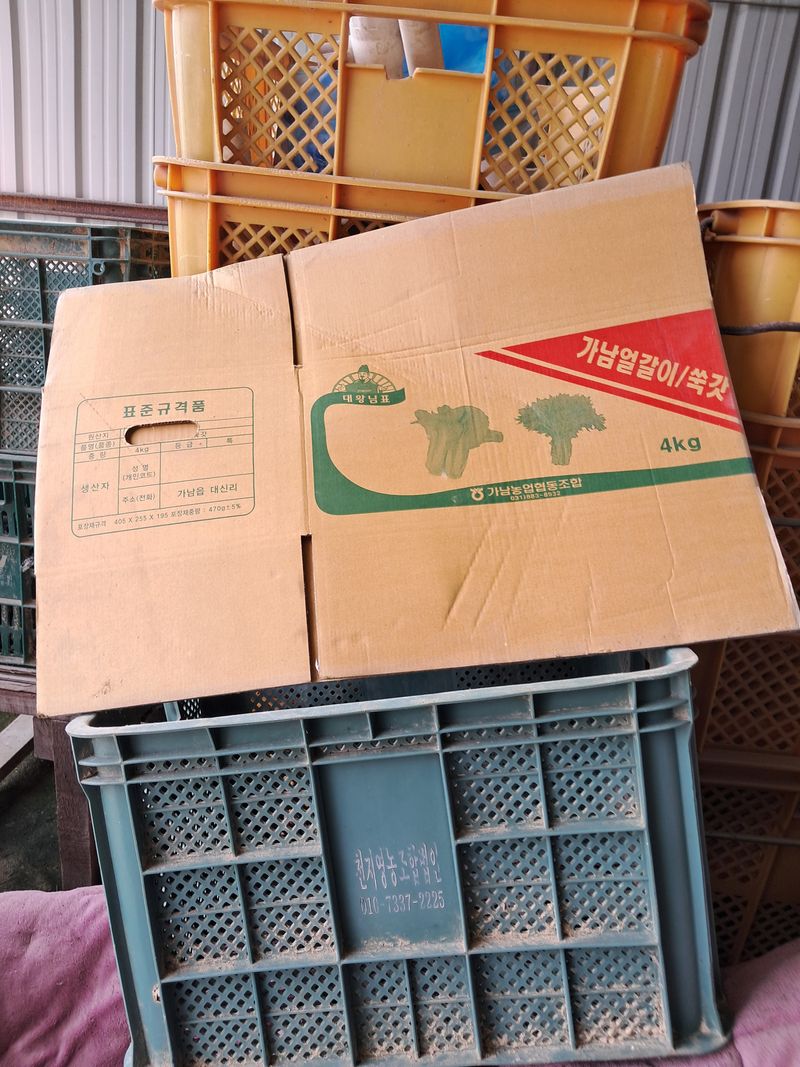 장터 상품 [얼갈이 쑥갓 박스] 썸네일