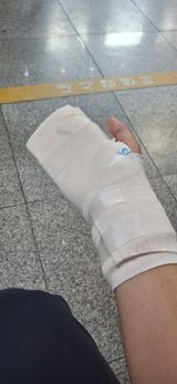 팜모닝 자유주제·자유게시판 게시글 이미지