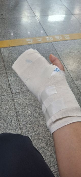 프롬밭님의 자유주제 · 자유게시판 작성글 사진