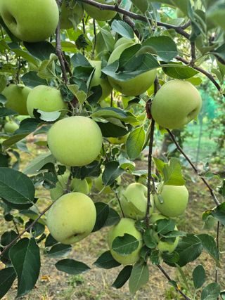 최동구님의 작성글 사진