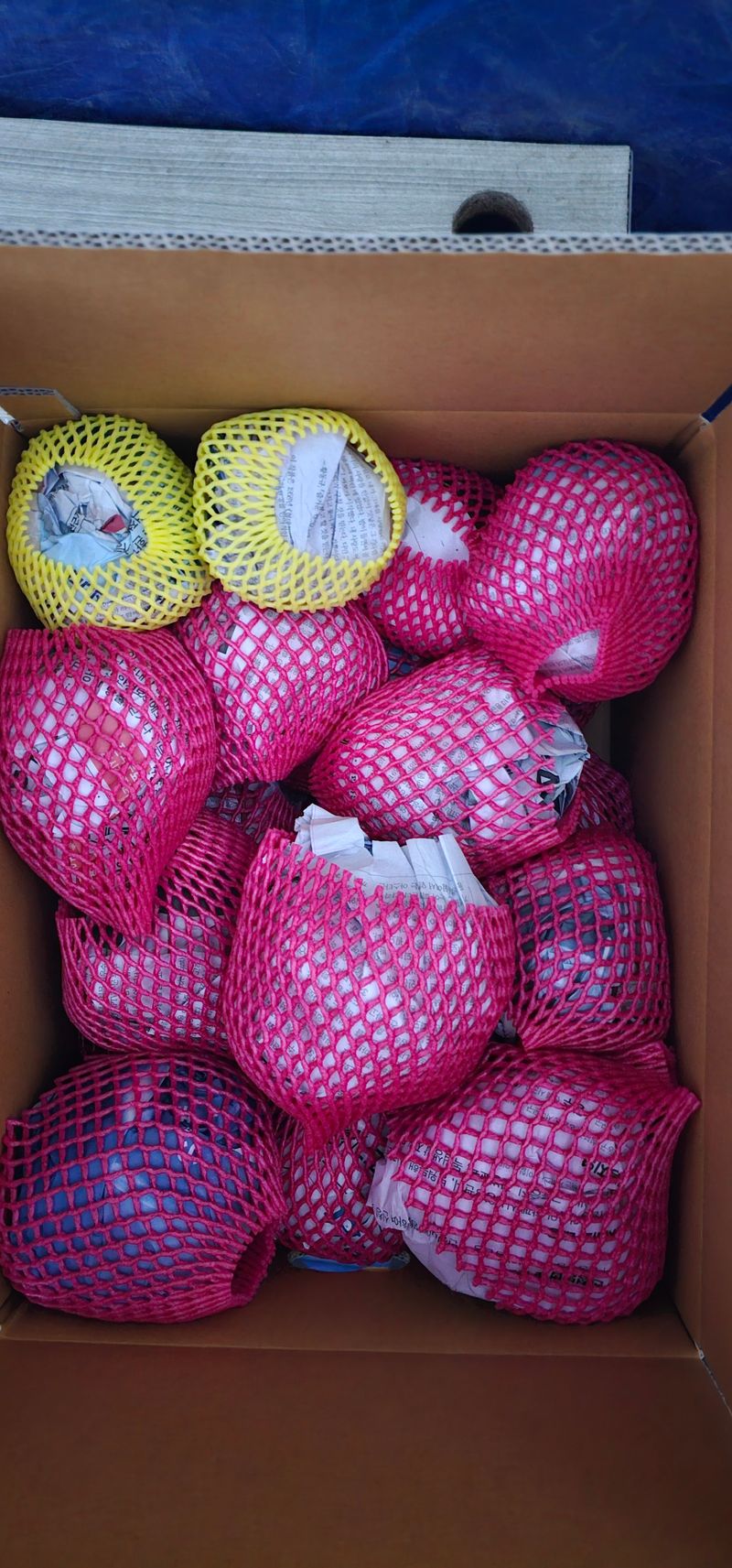 의성소담농원김명제님의 장터 판매 상품 [당뇨,고혈압,변비,다이어트에 특효 히카마(멕시코감자) 5K/10K] 첨부 사진