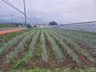 준영농장 출석왕.님의 자유주제 · 자유게시판 작성글 사진