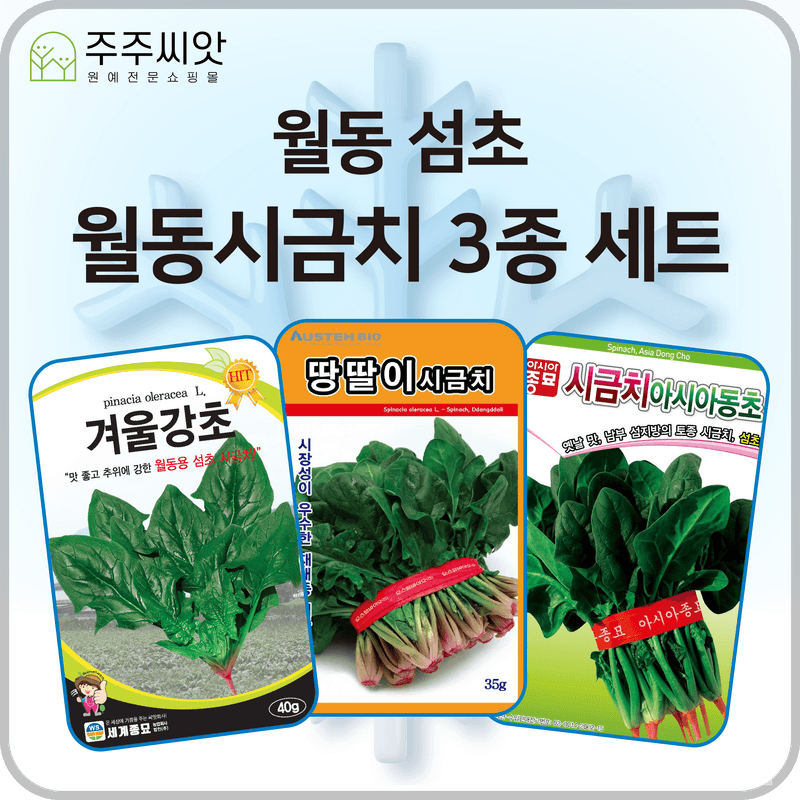 장터 상품 [월동시금치 3종 세트 / 아시아동초, 겨울강초, 땅딸이시금치 씨앗] 썸네일