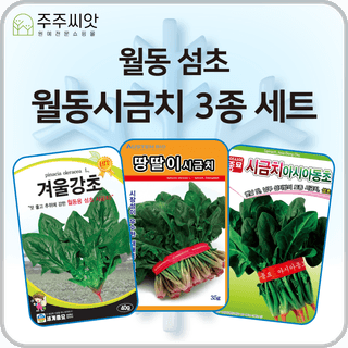 주주씨앗님의 작성글 사진