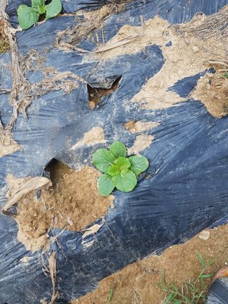 김건호님의 자유주제 · 자유게시판 작성글 사진