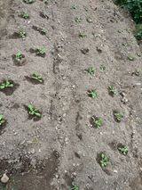 팜모닝 자유주제·자유게시판 게시글 이미지