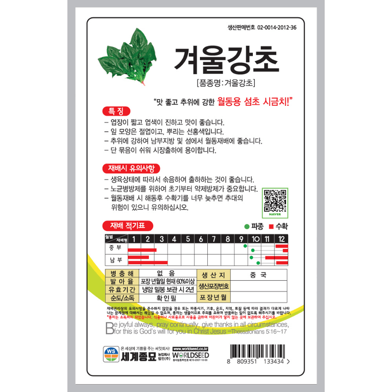 주주씨앗님의 장터 판매 상품 [월동시금치 3종 세트 / 아시아동초, 겨울강초, 땅딸이시금치 씨앗] 첨부 사진