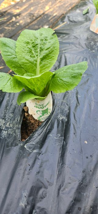 명희님의 자유주제 · 자유게시판 작성글 사진