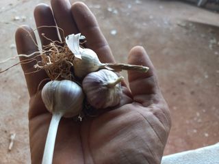 박린님의 작성글 사진