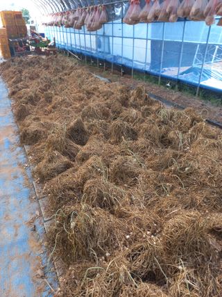 박린님의 작성글 사진