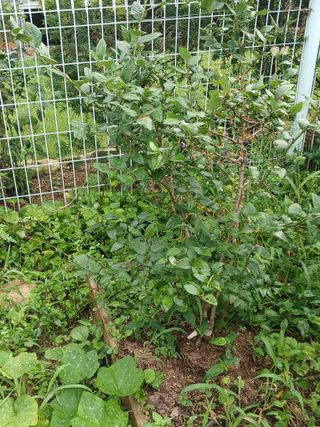 새창고개님의 작성글 사진