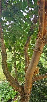 팜모닝 자유주제·자유게시판 게시글 이미지