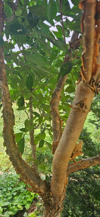 임 촌장.님의 자유주제 · 자유게시판 작성글 사진