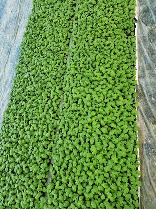 감자6289님의 자유주제 · 자유게시판 작성글 사진