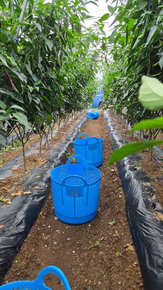 인제 돈키호테님의 작성글 사진