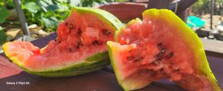 양일봉님의 자유주제 · 자유게시판 작성글 사진