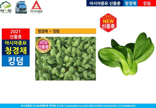 아시아종묘님의 자유주제 · 자유게시판 작성글 사진