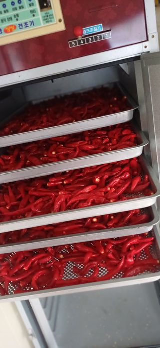 초보퍼머5도2촌준비님의 자유주제 · 자유게시판 작성글 사진