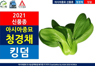 아시아종묘님의 자유주제 · 자유게시판 작성글 사진