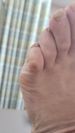 여우내 이순홍님의 자유주제 · 자유게시판 작성글 사진