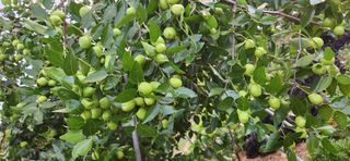 하은와송~♡♡♡~님의 자유주제 · 자유게시판 작성글 사진