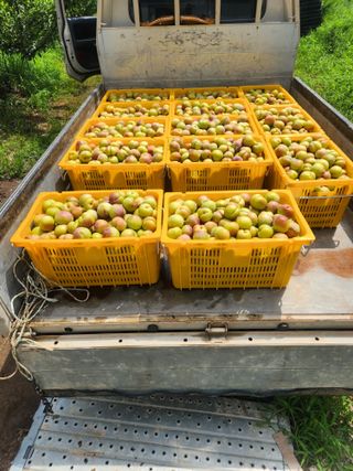 자두농장님의 자유주제 · 자유게시판 작성글 사진