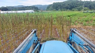 강원도 횡성군님의 자유주제 · 자유게시판 작성글 사진