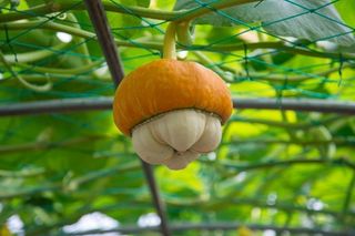 망치님의 자유주제 · 자유게시판 작성글 사진