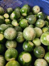 팜모닝 자유주제·사진전 게시글 이미지