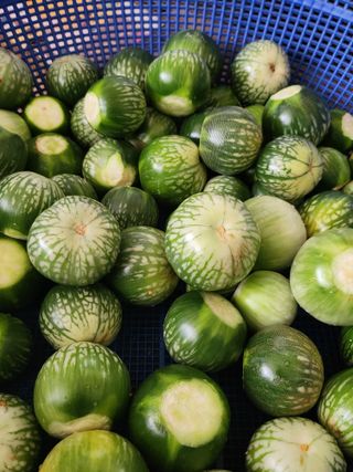 복숭아님의 자유주제 · 사진전 작성글 사진