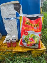 팜모닝 자유주제·자유게시판 게시글 이미지